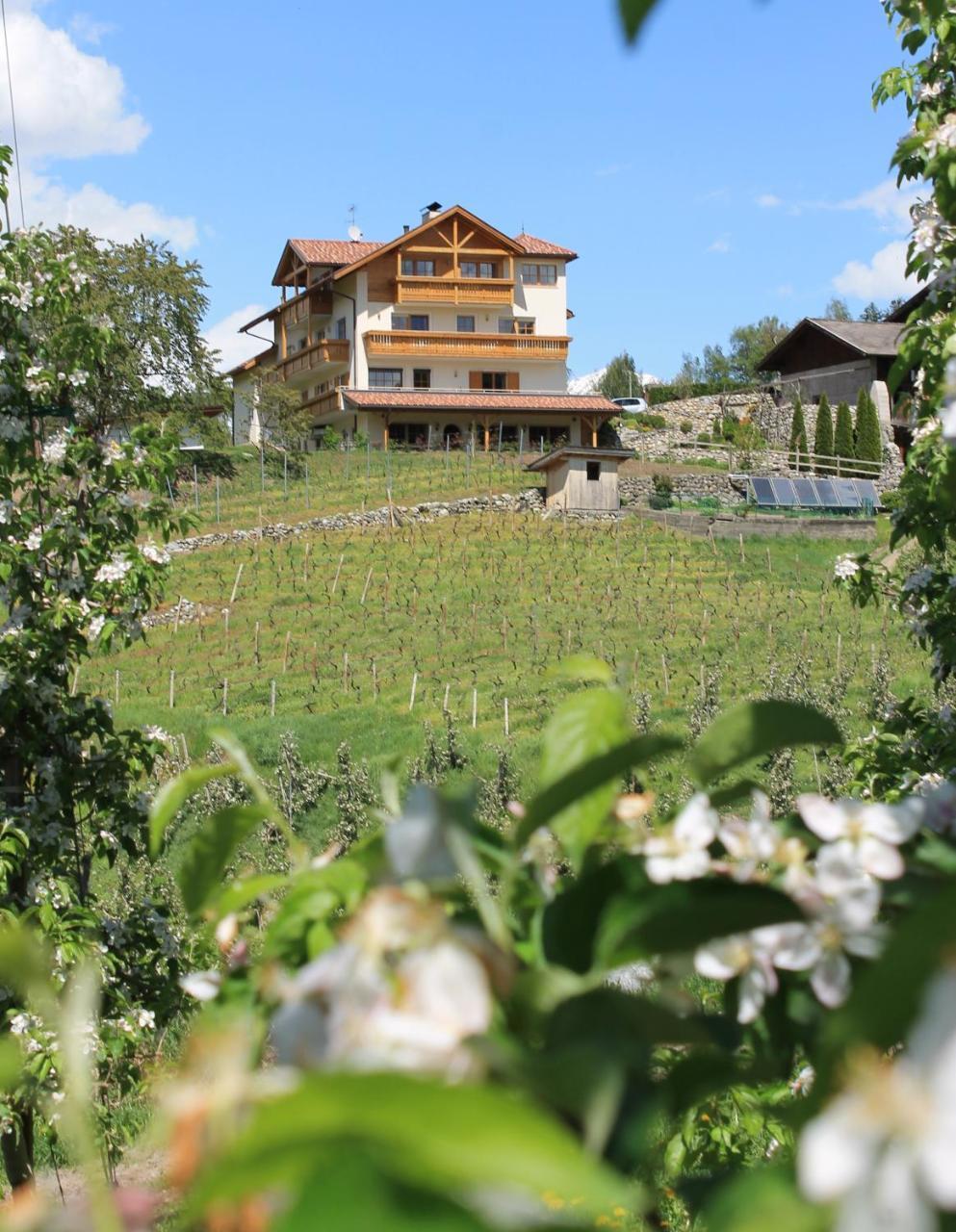 Trinnerhof- Hof Chalets Und Obsthof Mit Zimmer Natz-Schabs Εξωτερικό φωτογραφία